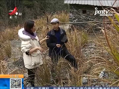 【《家有收藏》·一起寻宝吧】婺源：搏运气 寻砚石