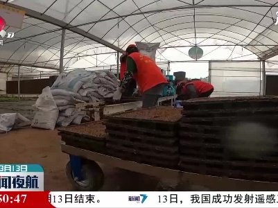 信丰：育秧中心开足马力助力春耕生产