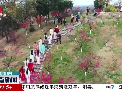 山水武宁“花朝节”：春风十里 桃花灼灼