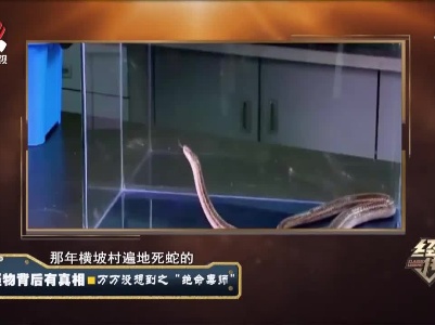 经典传奇20210316 怪物背后有真相——万万没想到之“绝命毒师”