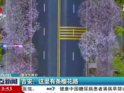 【春光无限好】吉安：这里有条樱花路