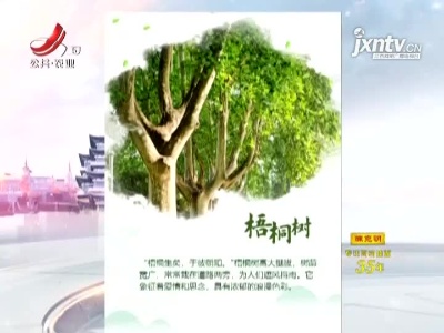种下一片绿意 让生活更低碳