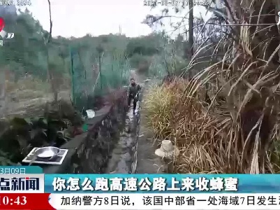江西：夫妻俩跑上高速来采蜜