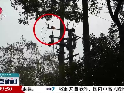 九江：高压线“火星四溅”消防紧急处置