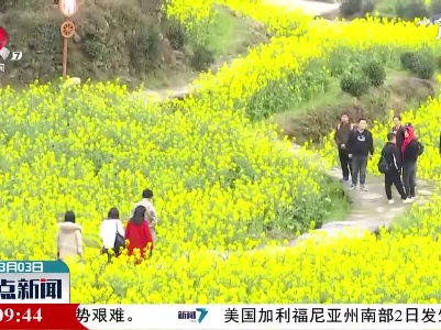 整点新闻20210303 16:00