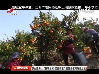 九江庐山西海：“数字乡村 江西样板”智慧易家河项目上线