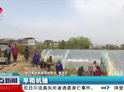 【毫不放松 抓好春季农业生产】上饶：推广集中育秧 提高早稻机插水平