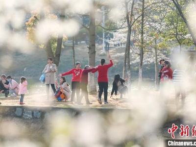 南昌：春光明媚花盛开 市民游园赏樱来