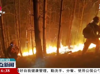 昆明市盘龙区发生山火 驻地森林消防队伍紧急救援