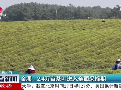 金溪：2.4万亩茶叶进入全面采摘期