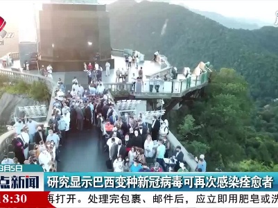 研究显示巴西变种新冠病毒可再次感染痊愈者