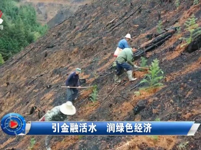 社会传真20210318 引金融活水 润绿色经济