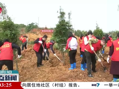 南昌市举行青少年助力 “山水名城、生态都市”植树行动