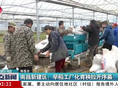 南昌新建区：早稻工厂化育秧拉开序幕