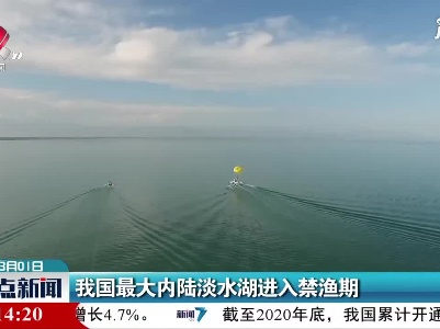 我国最大内陆淡水湖进入禁渔期