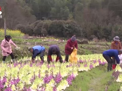 金溪：用好生态优势 助力乡村振兴