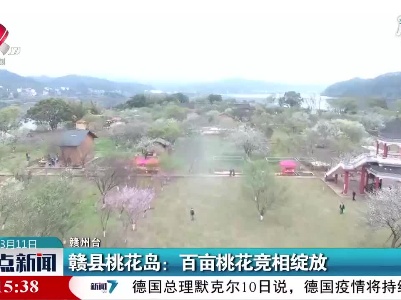 整点新闻20210311 12:00