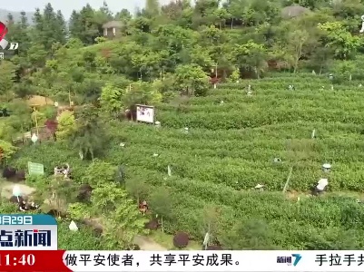 整点新闻20210329 14:00