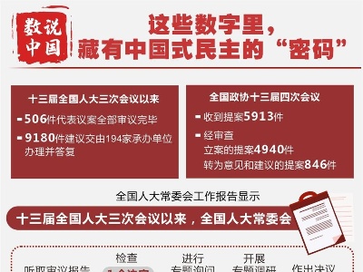 这些数字里，藏有中国式民主的“密码”