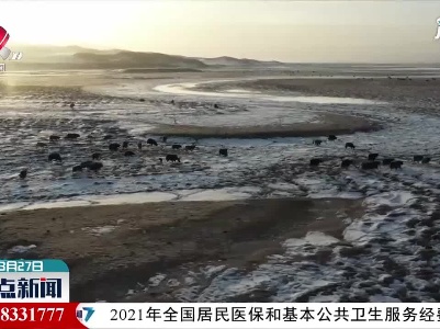 壮观：新疆巴音布鲁克百万头牛羊大转场