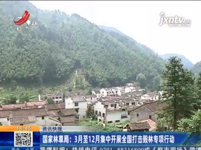 国家林草局：3月至12月集中开展全国打击毁林专项行动