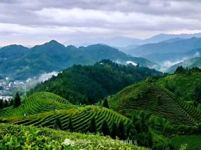 肖运生：30年孤独留给自己，有多少欢乐洒向人间