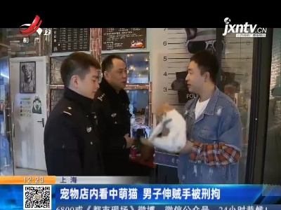 上海：宠物店内看中萌猫 男子伸贼手被刑拘