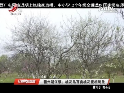 【探春·江西】赣州湖江镇：桃花岛百亩桃花竟相绽放