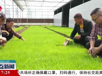 江西发布春播天气指南