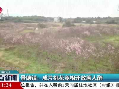 景德镇：成片桃花竞相开放惹人醉