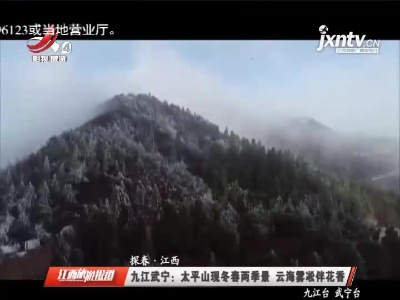 【探春·江西】九江武宁：太平山现冬春两季景 云海雾凇伴花香