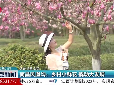 南昌凤凰沟：乡村小鲜花 撬动大发展