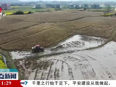 都昌：早育秧早整地 不负春光不误农时