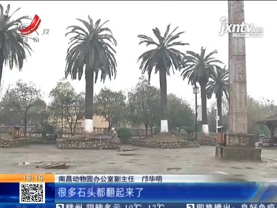 南昌：动物园综合提升改造 正常对外开放