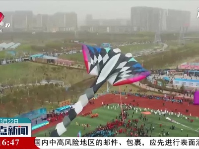 咸阳：渭河沿岸风筝竞飞