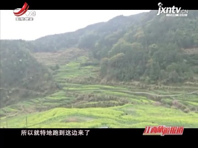 江西旅游报道20210319