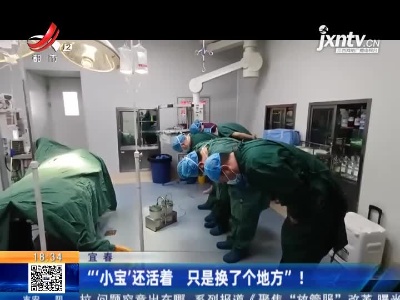 宜春：“‘小宝’还活着 只是换了个地方”！
