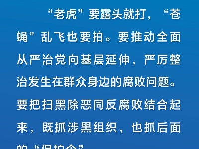 亮剑扫黑除恶 习近平为平安中国建设夯石筑基