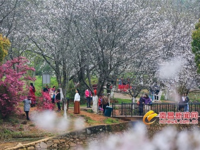 马上变天！强雷阵雨即将杀到南昌！清明节天气……