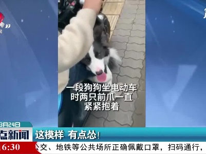 四川：这模样 有点怂！