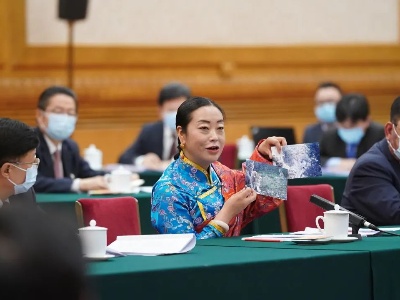 全纪实：总书记两会团组活动的10个瞬间 