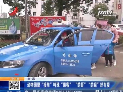 南昌：动物园里“接单”特殊“乘客”“的哥”“的姐”好有爱