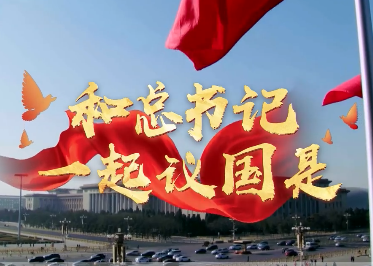 和总书记一起议国是｜向总书记汇报！替老奶奶捎话……