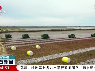 外国品牌拒绝新疆棉花惹众怒：新疆棉花中国自己还不够用