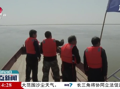 鄱阳湖：江豚嬉戏自在游 巡护监测常态化