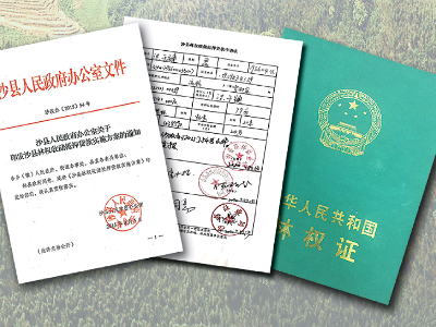习近平福建行丨走进沙县农村产权交易中心看“林改”