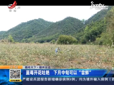 都市60分20210309