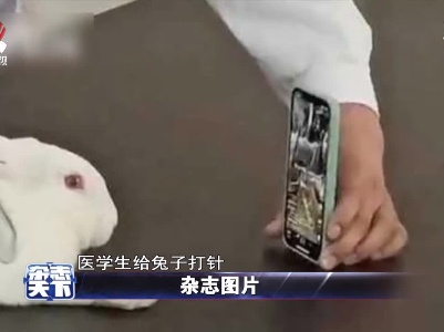 山东菏泽 医学生给兔子打针