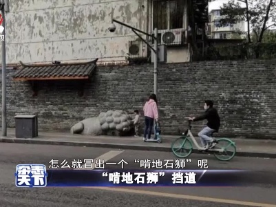“啃地石狮”挡道