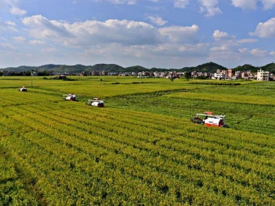 牢牢把住粮食安全主动权